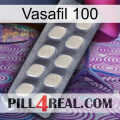 Vasafil 100 08